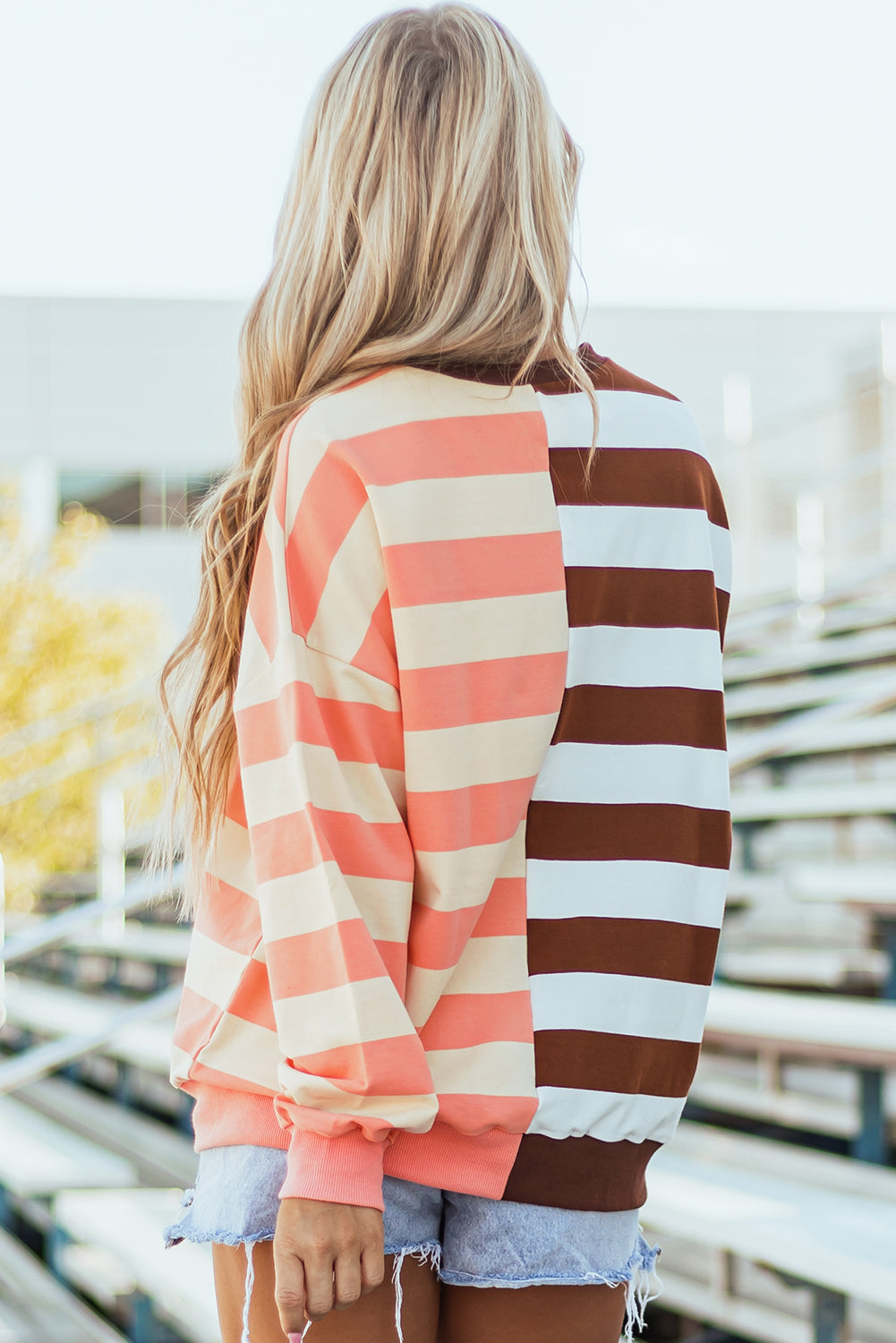 Brown Stripe Color Block Drop Shoulder Pullover Sweatshirt